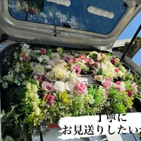 画像529
