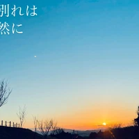 画像539