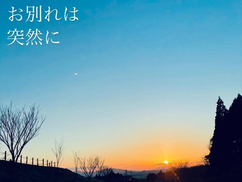 画像539