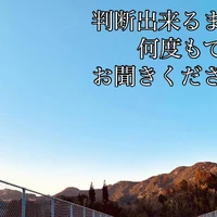 画像541