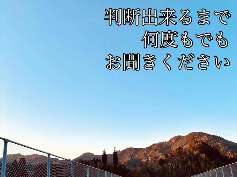 画像541