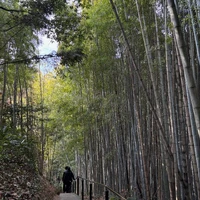 画像551
