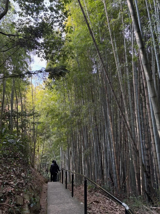 画像551