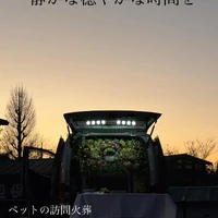 画像557