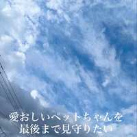 画像560