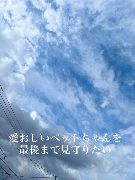 画像560