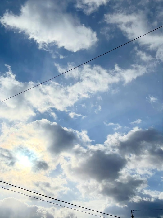 画像563