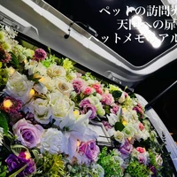 画像577