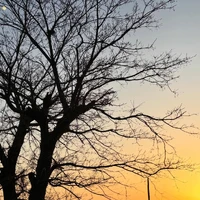画像579