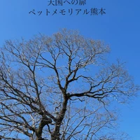 画像596