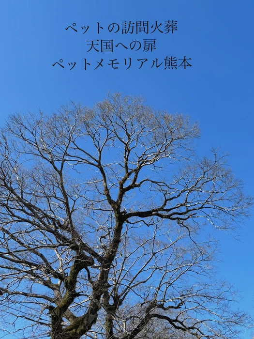 画像596