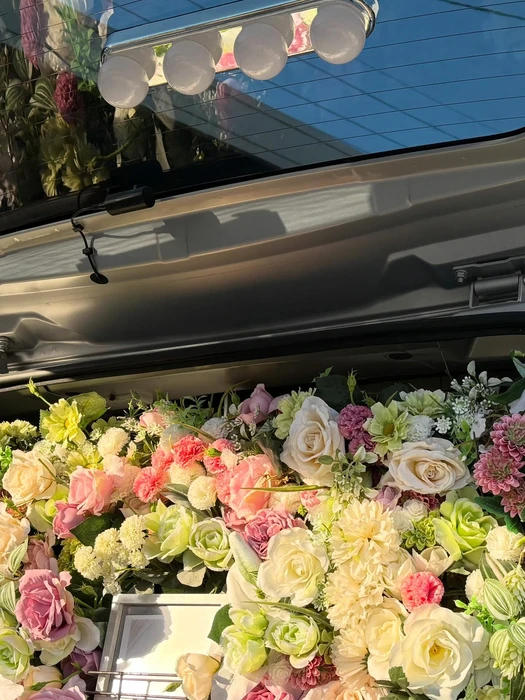 画像599