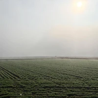 画像606