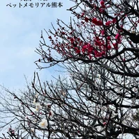 画像614