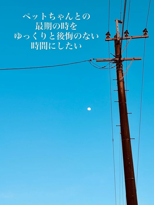 画像617
