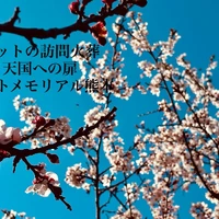 画像631