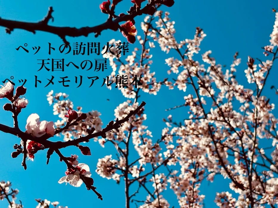 画像631