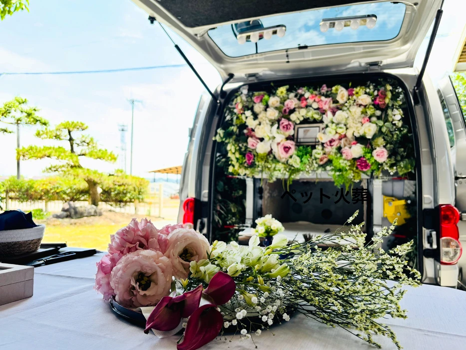 画像727