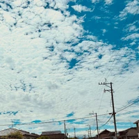 画像731