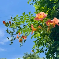 画像760