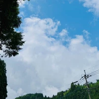 画像785