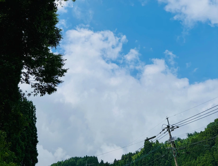 画像785