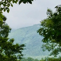 画像787