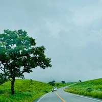 画像790