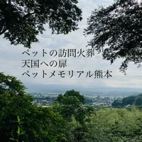 画像794