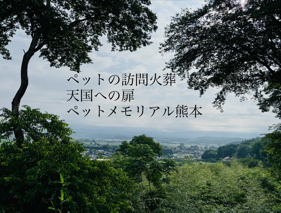 画像794