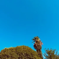 画像798