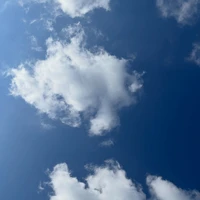 画像808