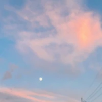 画像819