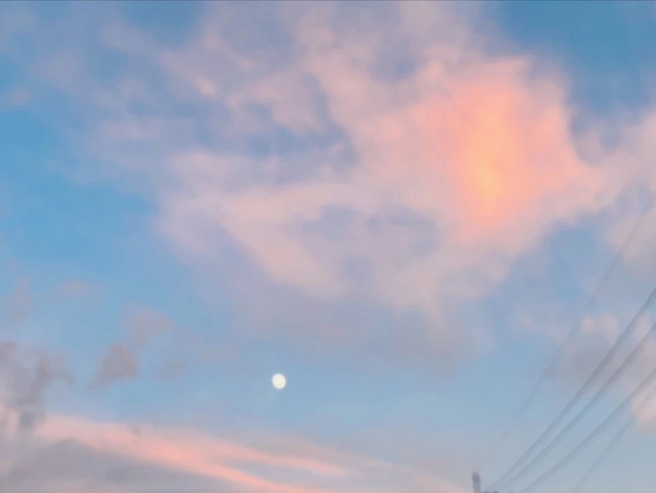 画像819