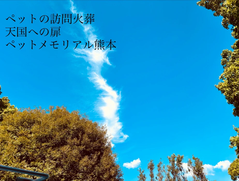 画像826