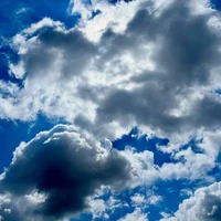 画像828