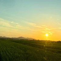 画像850