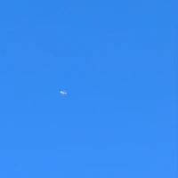 画像868