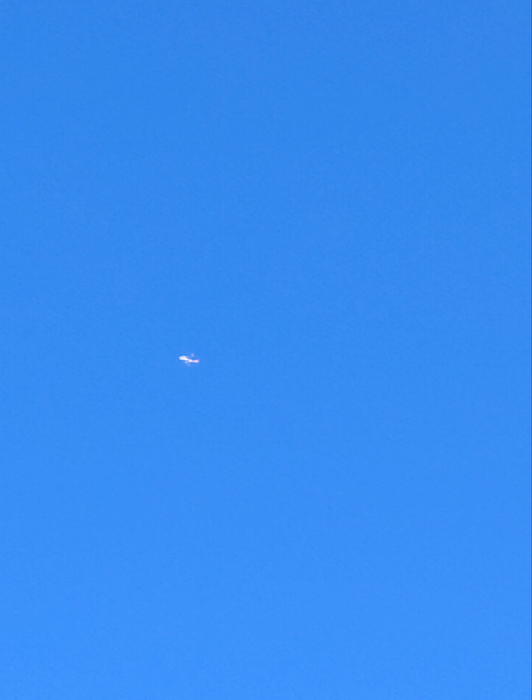 画像868