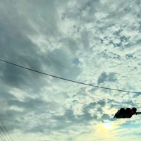 画像891