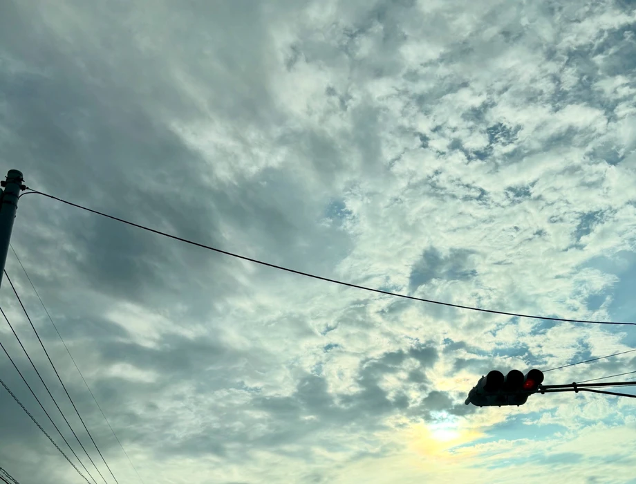 画像891