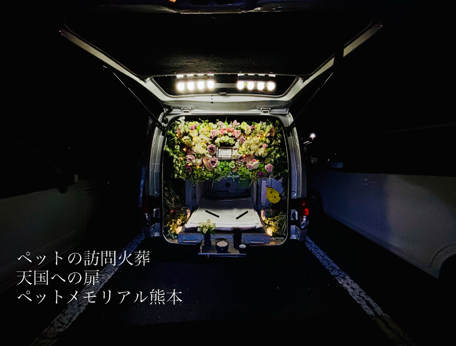画像897