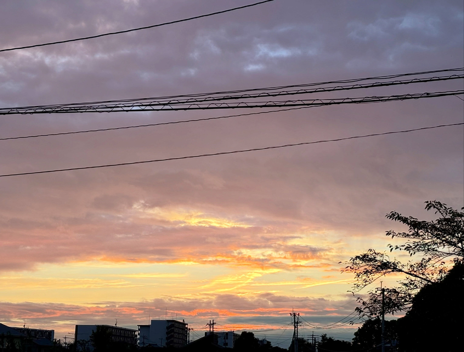 画像901