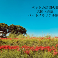画像919