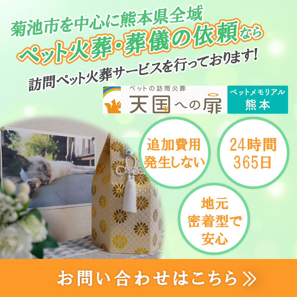 popup_banner (1)