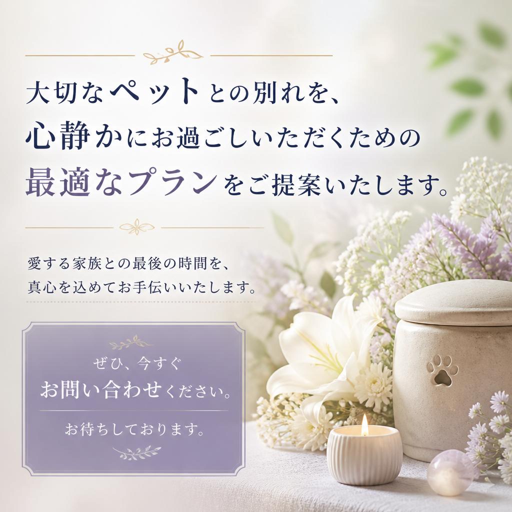 今すぐお問い合わせを！